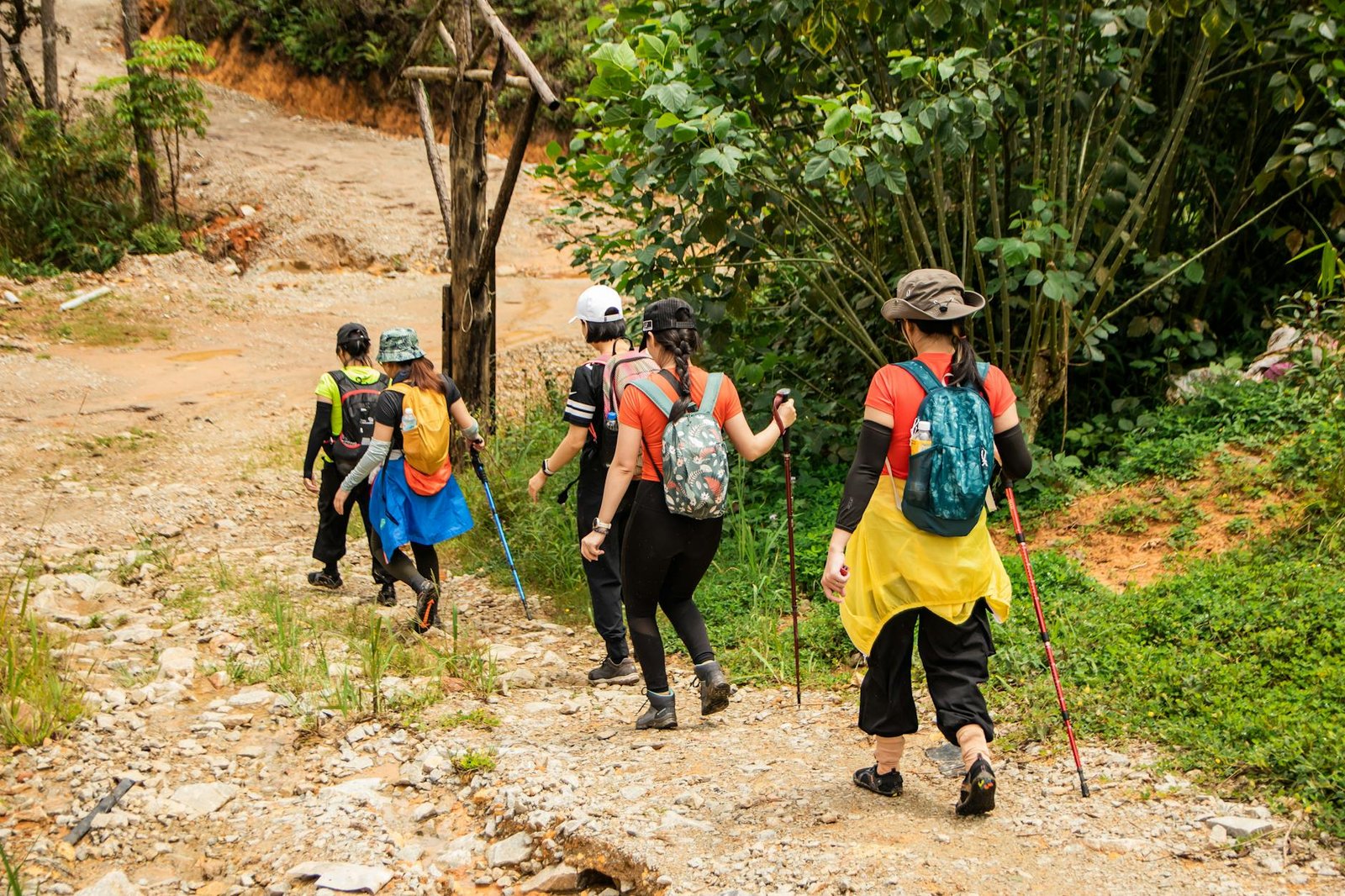 https://www.pexels.com/photo/a-group-of-people-walking-down-a-trail-with-backpacks-28203530/