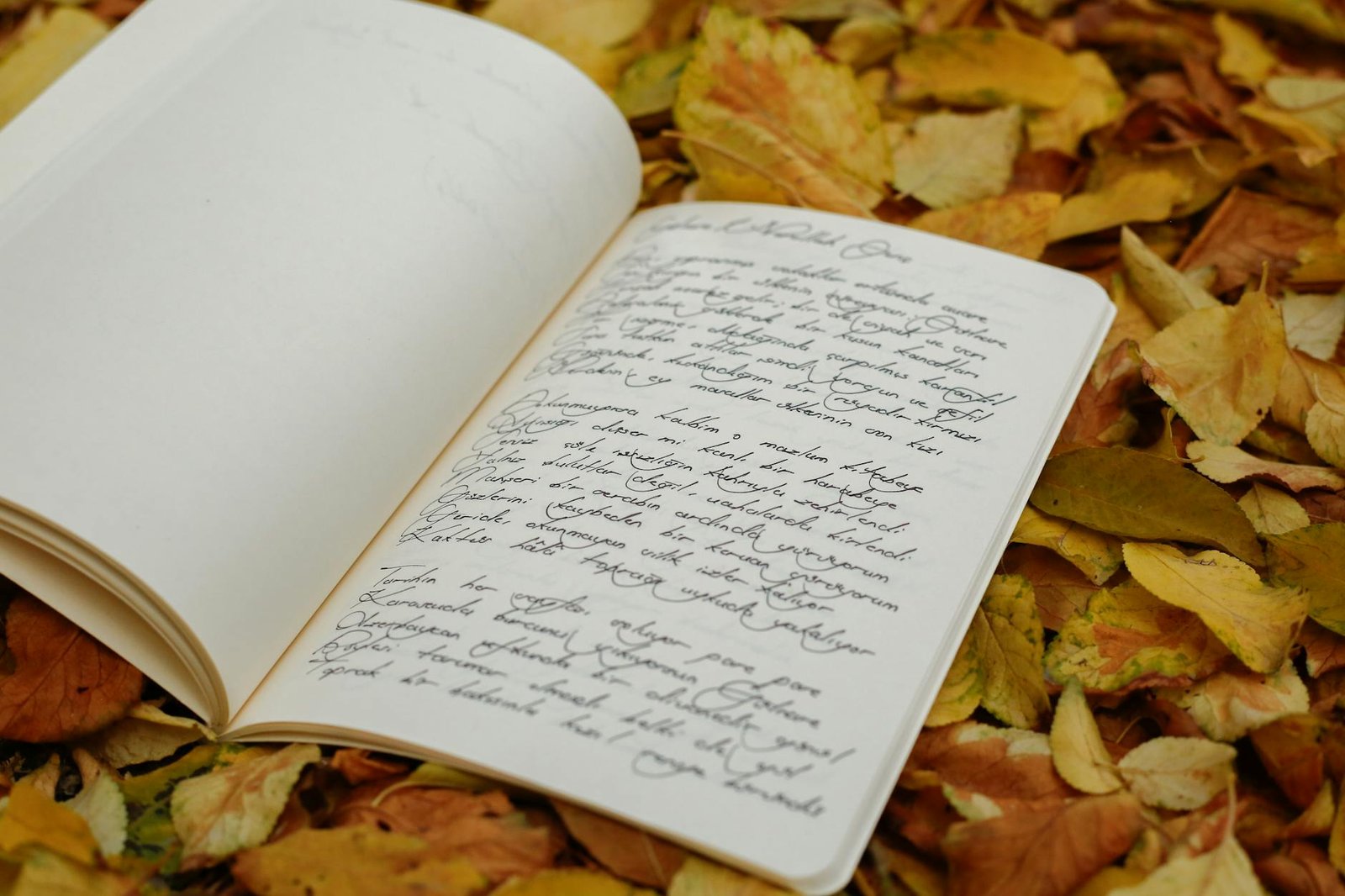 https://www.pexels.com/photo/open-notebook-on-autumn-leaves-outdoors-29462999/